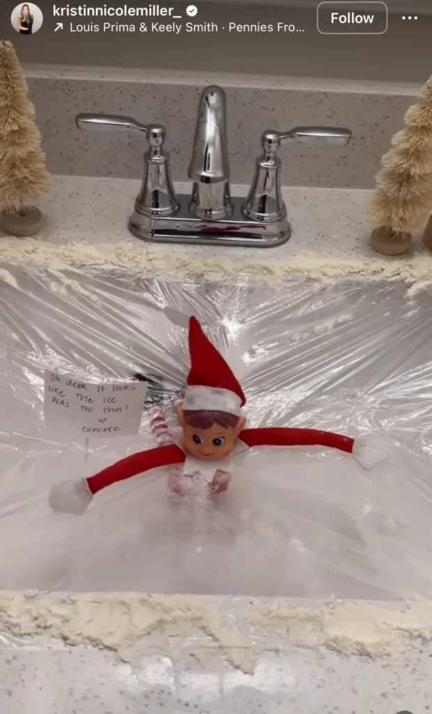 elf on the shelf