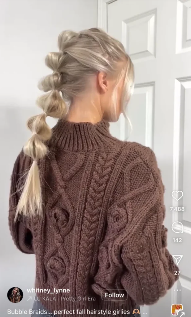 winter hair braid ideas