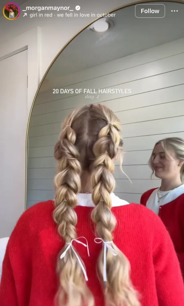 winter hair braid ideas