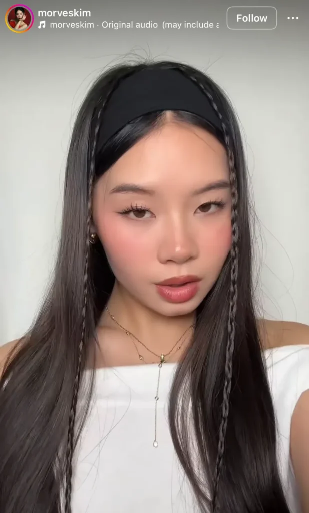 winter hair braid ideas