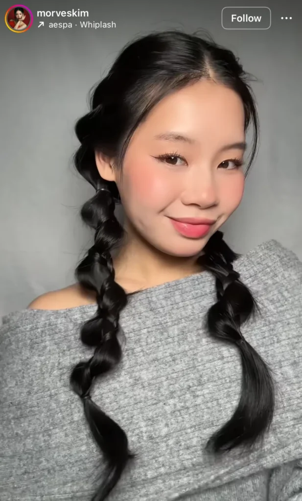 winter hair braid ideas