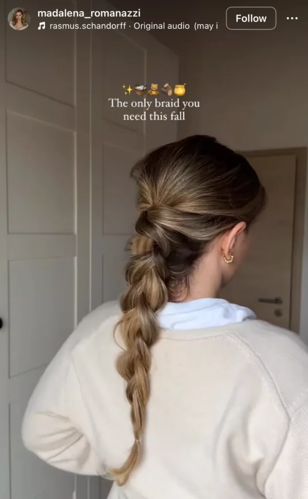 winter hair braid ideas