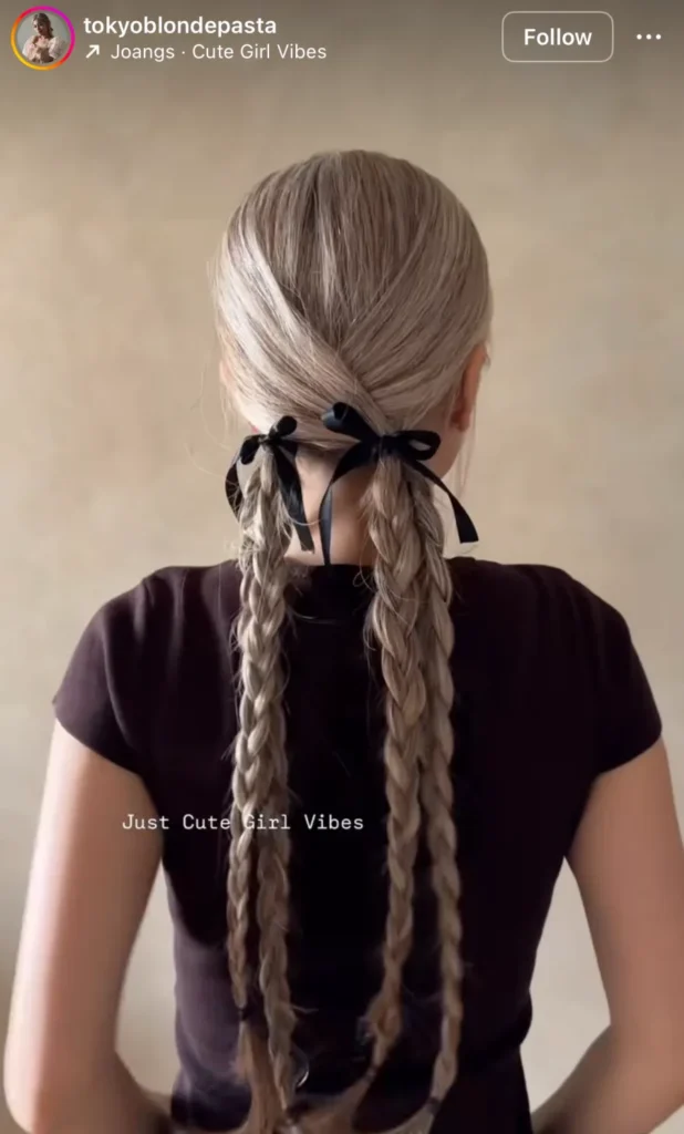 winter hair braid ideas