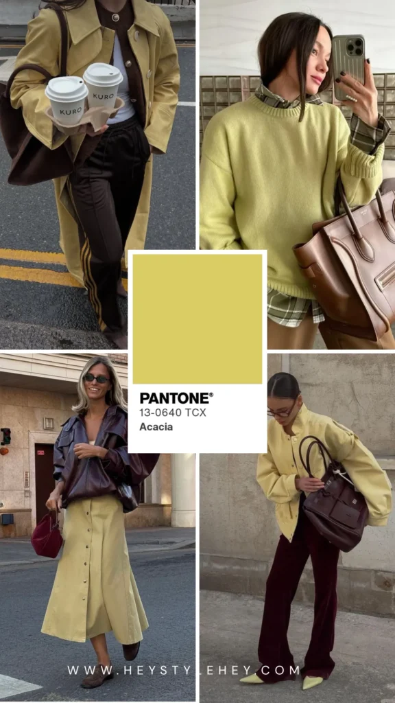 fall 2026 color trends - acacia